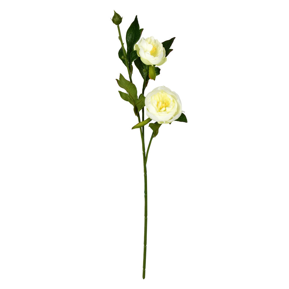 Vickerman 16” Cream Peony Spray 6/Pk - FV190751