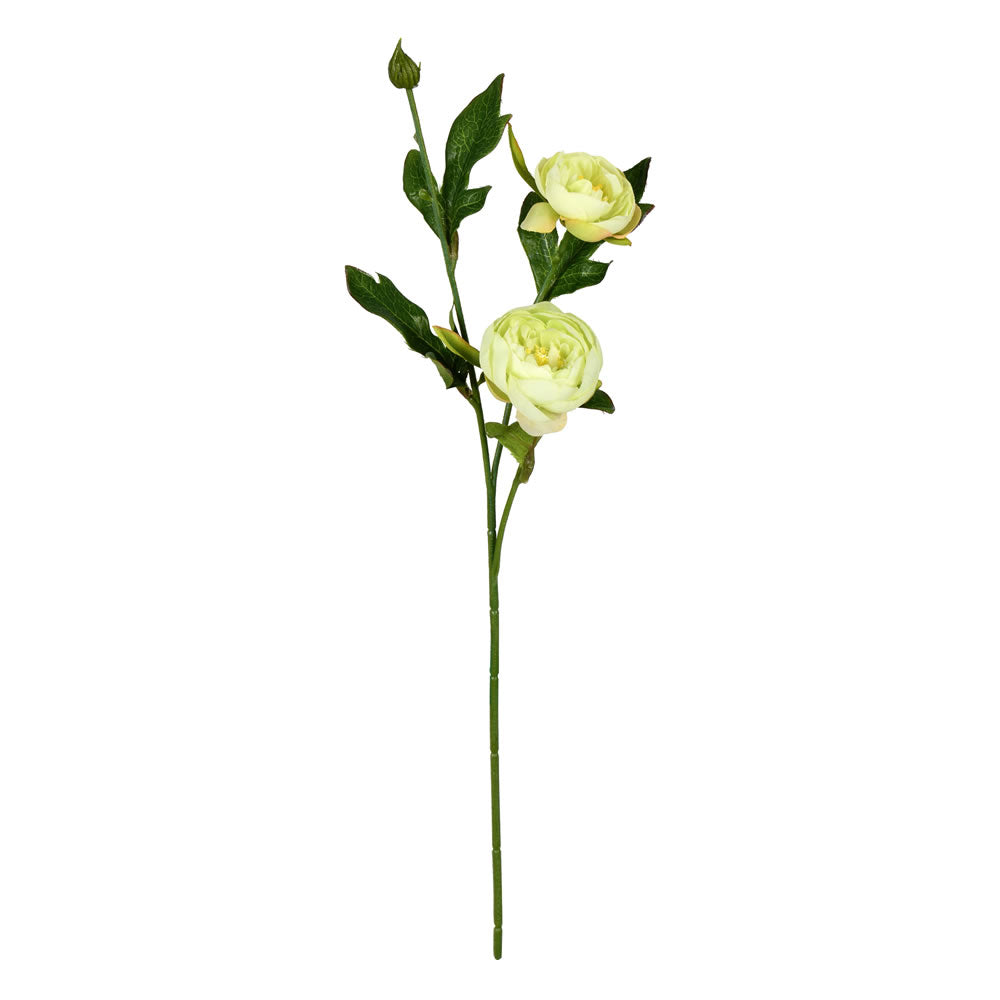 Vickerman 16” Lime Peony Spray 6/Pk - FV190752