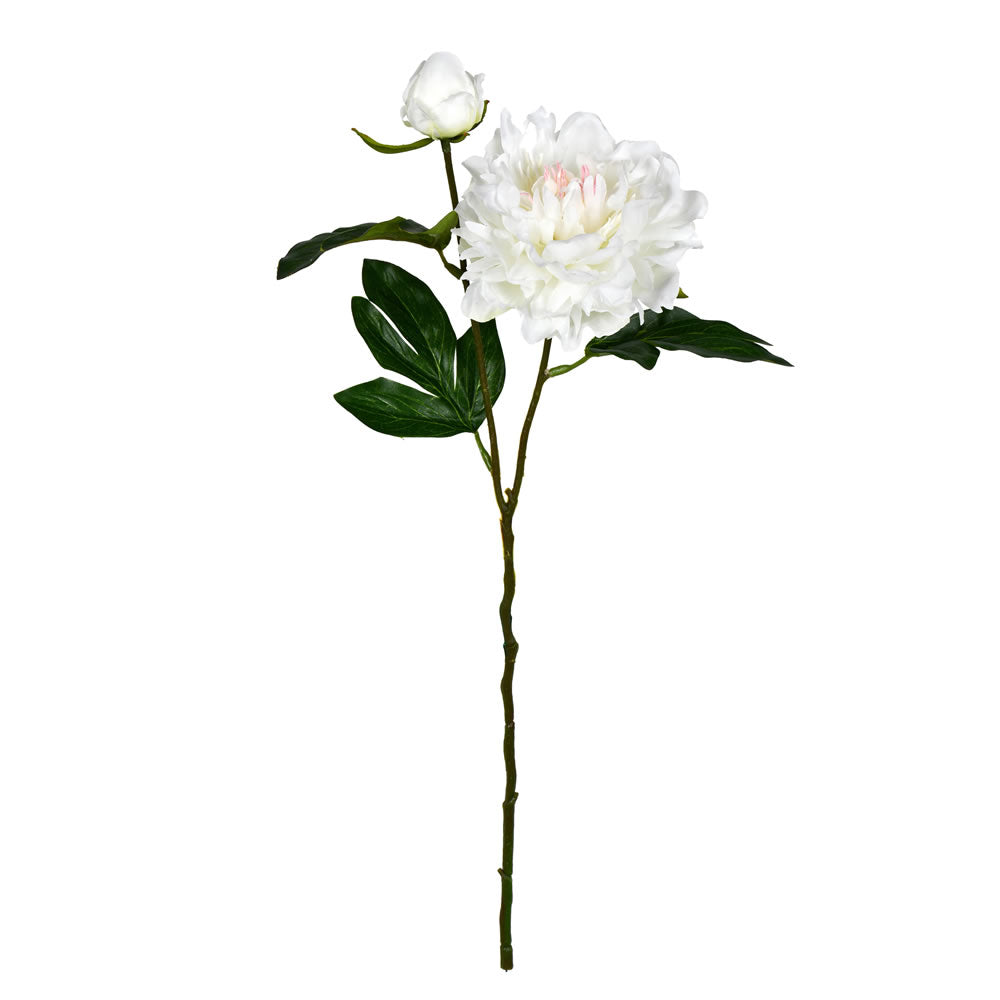 Vickerman 16” Pink Cream Peony Spray 6/Pk - FV190971