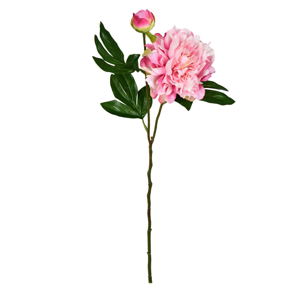 Vickerman 16” Light Pink Peony Spray 6/Pk - FV190975