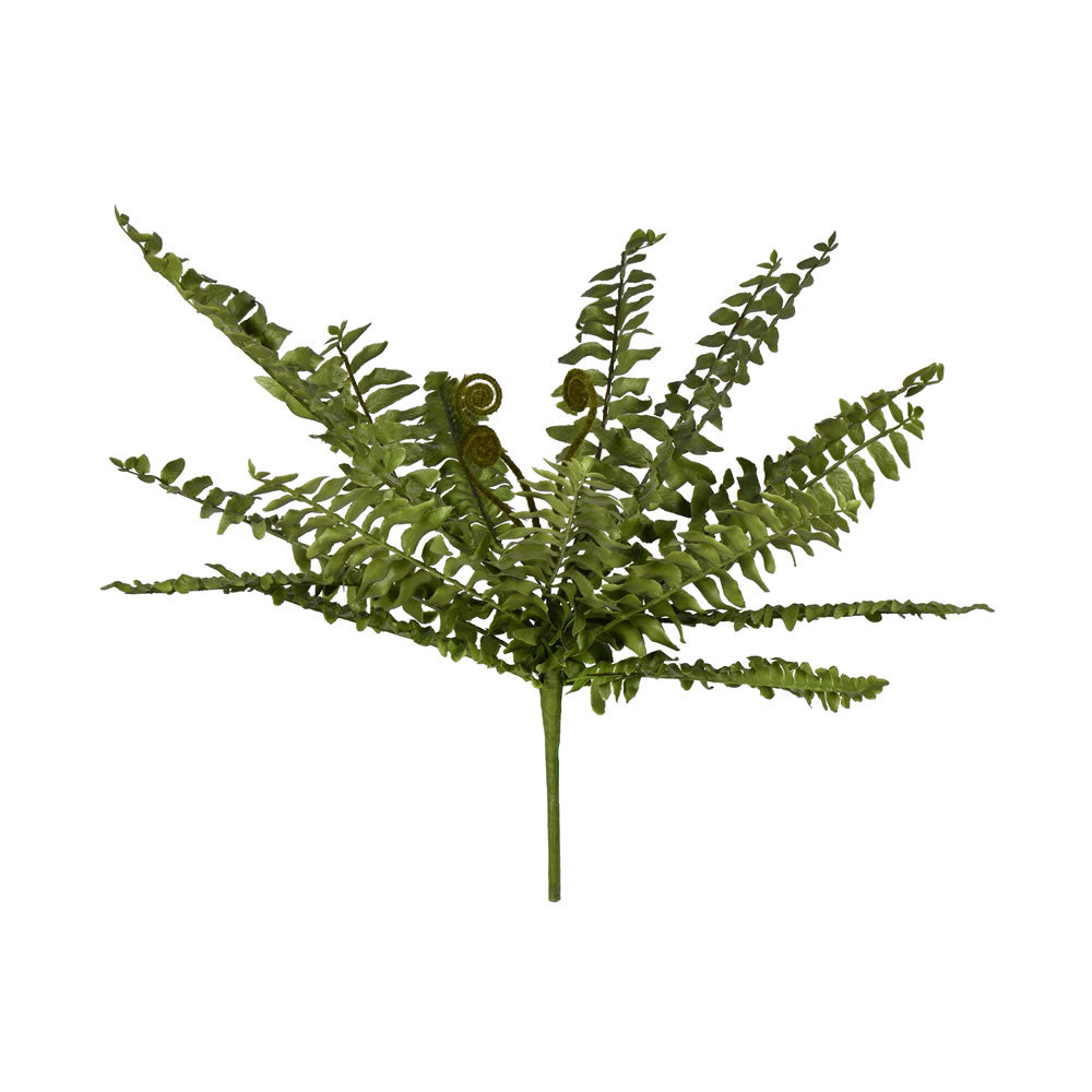 Vickerman 15” Green Boston Fern Bush - FV191815