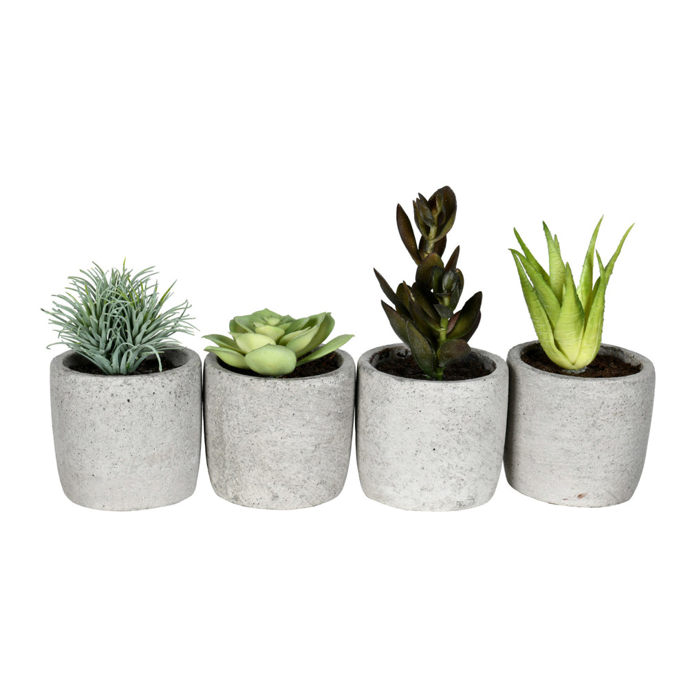 Vickerman 6” Green Potted Succulent 4/Pk Asst - FV192246