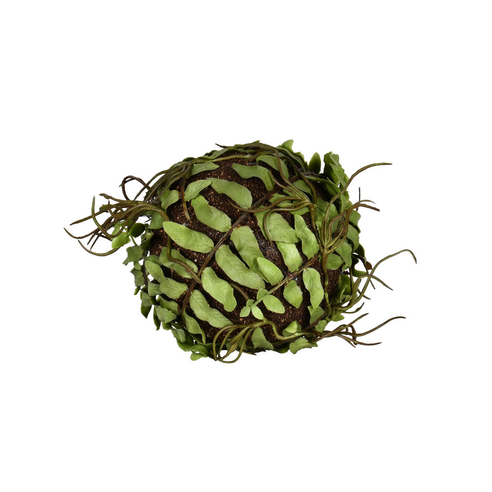 Vickerman 4”  Green Boston Fern Ball 3/Pk - FV192301