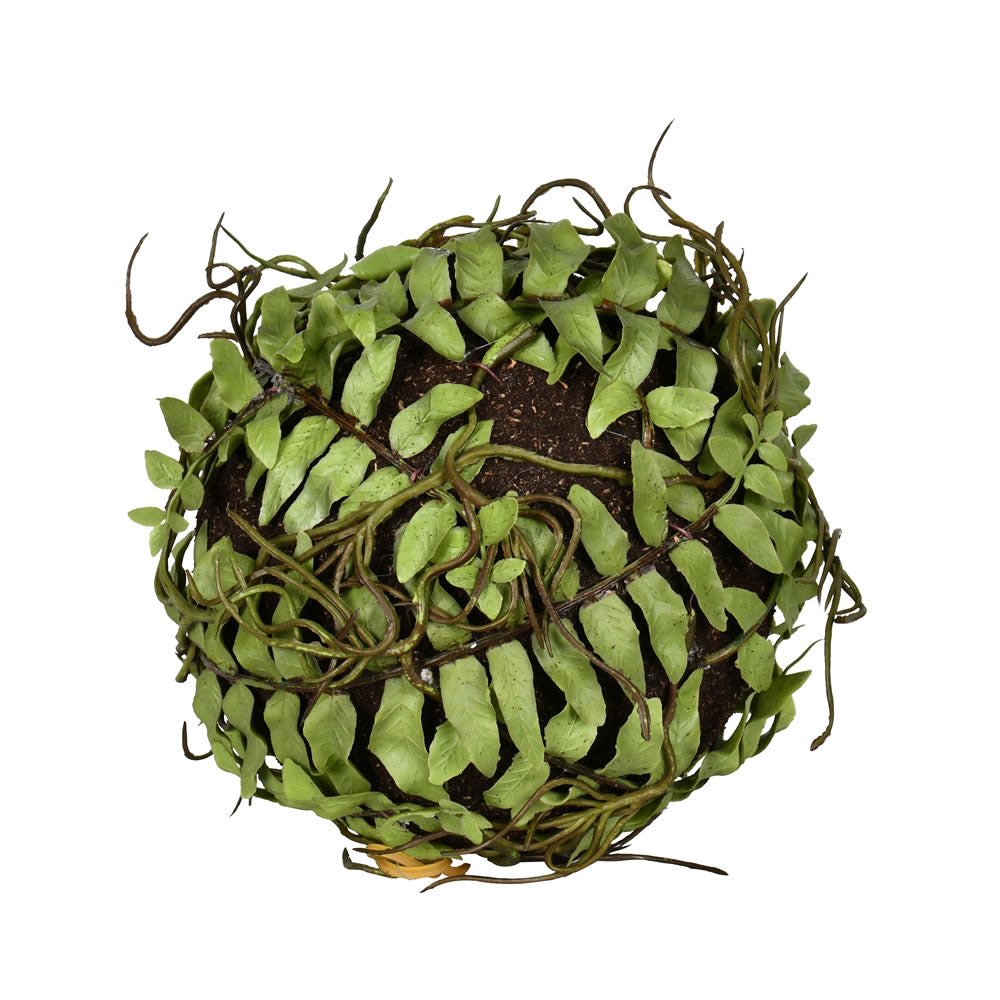 Vickerman 5”  Green Boston Fern Ball 2/Pk - FV192302