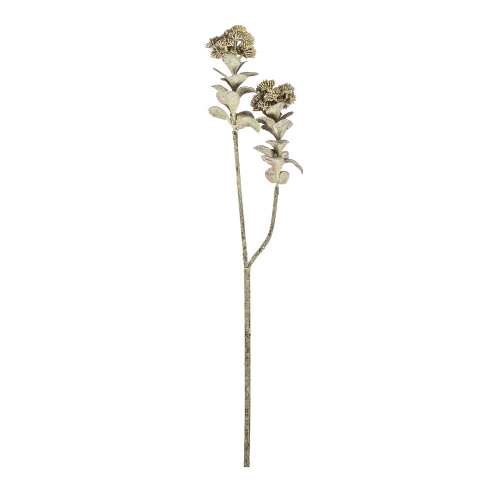 Vickerman 22” Dark Green Sedum Spray 2/Pk - FV192422