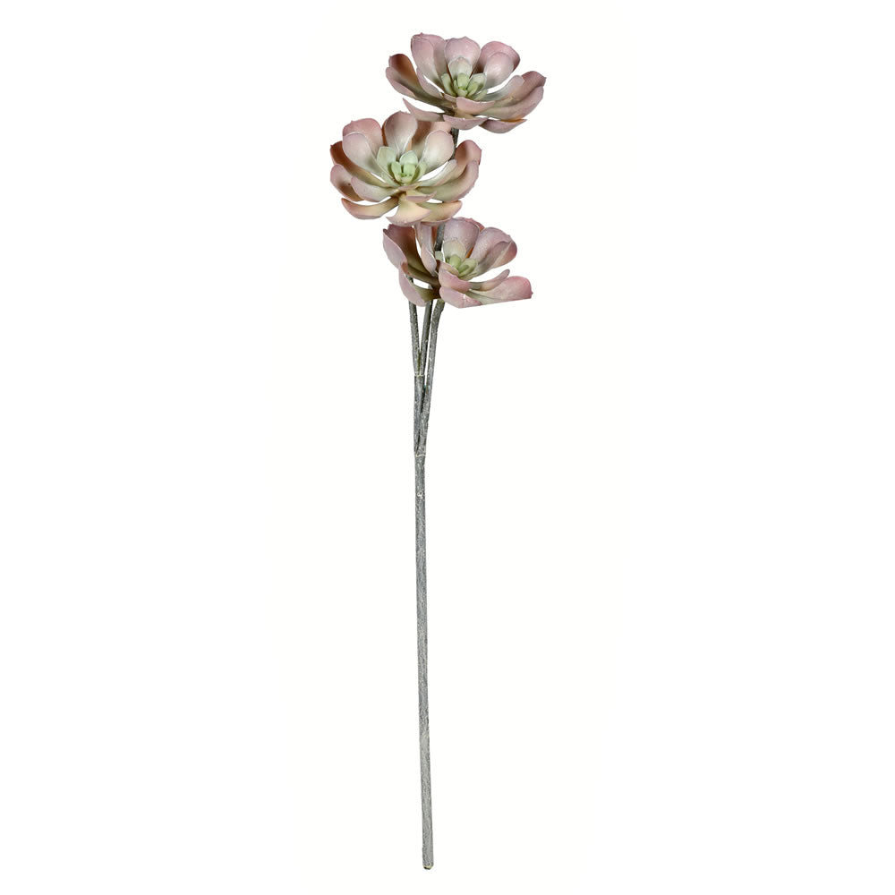 Vickerman 34” Brown Peperomia Succulent - FV192935