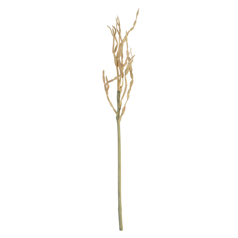 Vickerman 32” Mix Green Haworthia Spray Asst 6/Pk - FV193132
