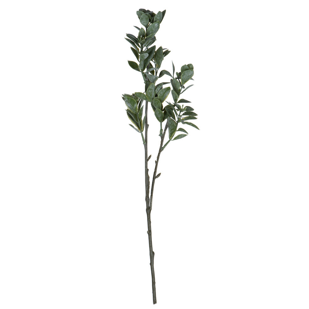 Vickerman 20” Green/White Aglaia Spray 6/Pk - FV193720