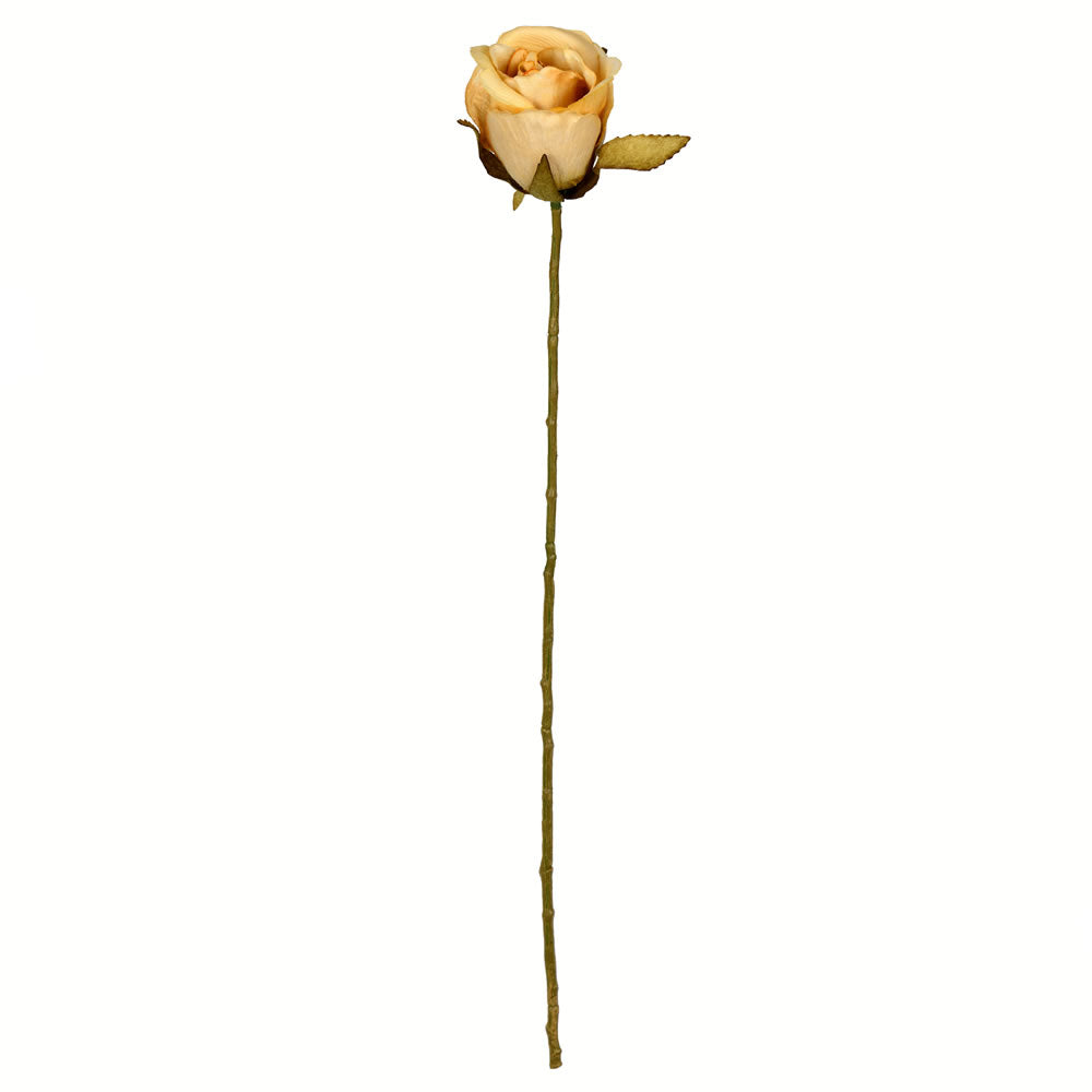 Vickerman 18” Mustard Rose Stem 12/Pk - FV194414