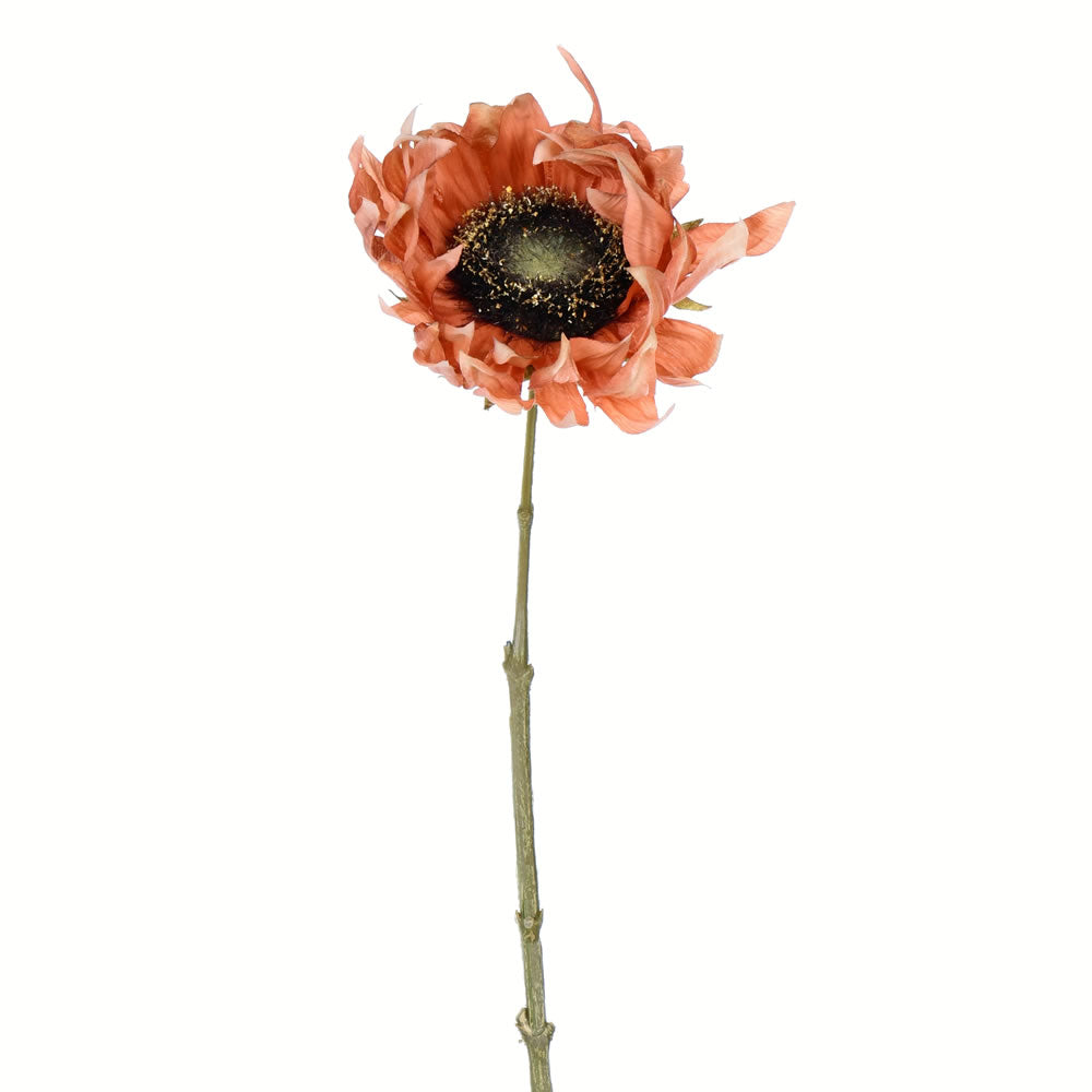 Vickerman 24” Brown Sunflower Stem 4/Pk - FV194521