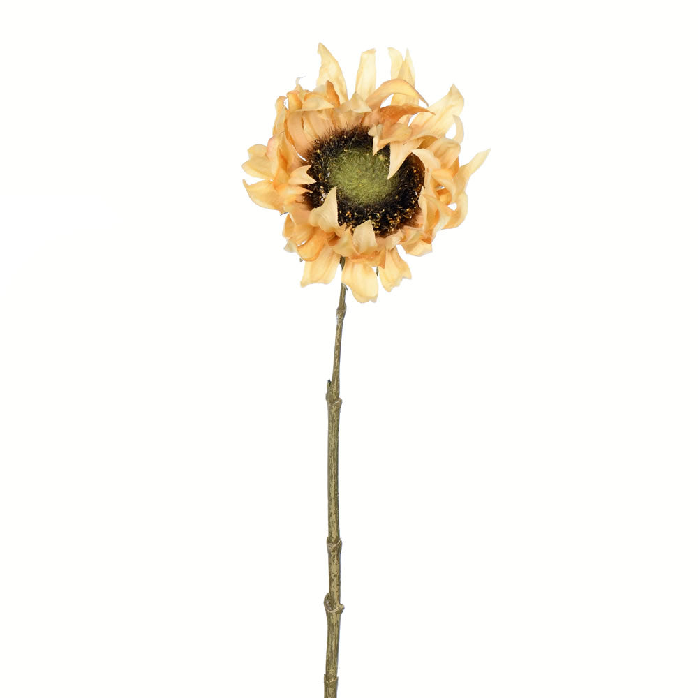 Vickerman 24” Mustard Sunflower Stem 4/Pk - FV194523