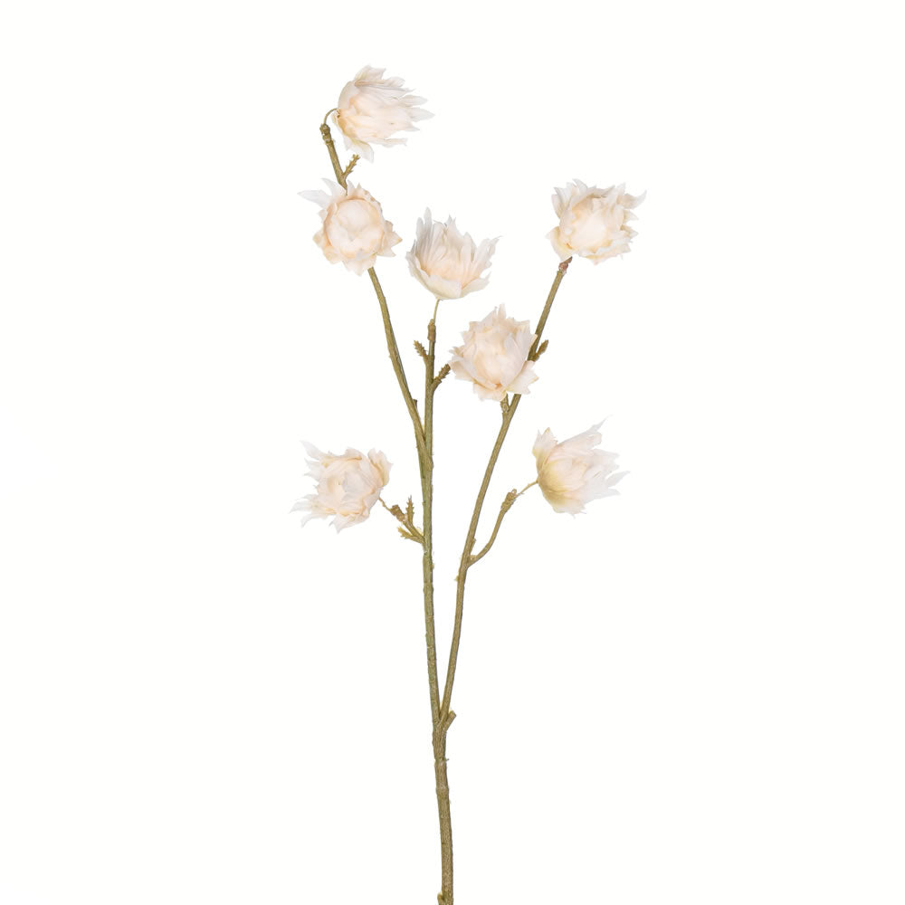 Vickerman 24” Ivory Hibiscus Spray 3/Pk - FV194702