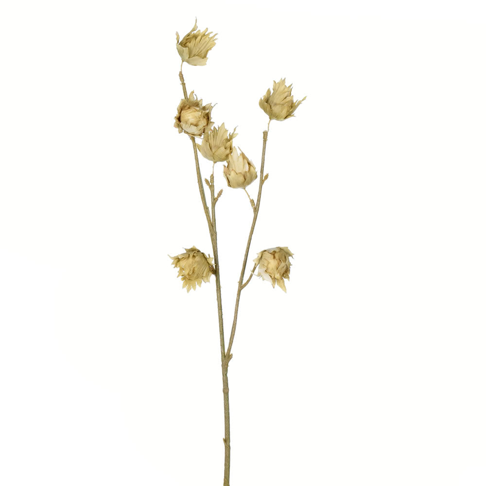 Vickerman 24” Green Hibiscus Spray 3/Pk - FV194703