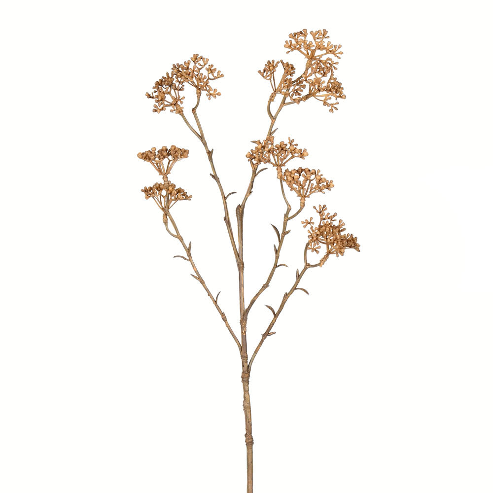 Vickerman 25” Beige Patrinia Spray 4/Pk - FV194925