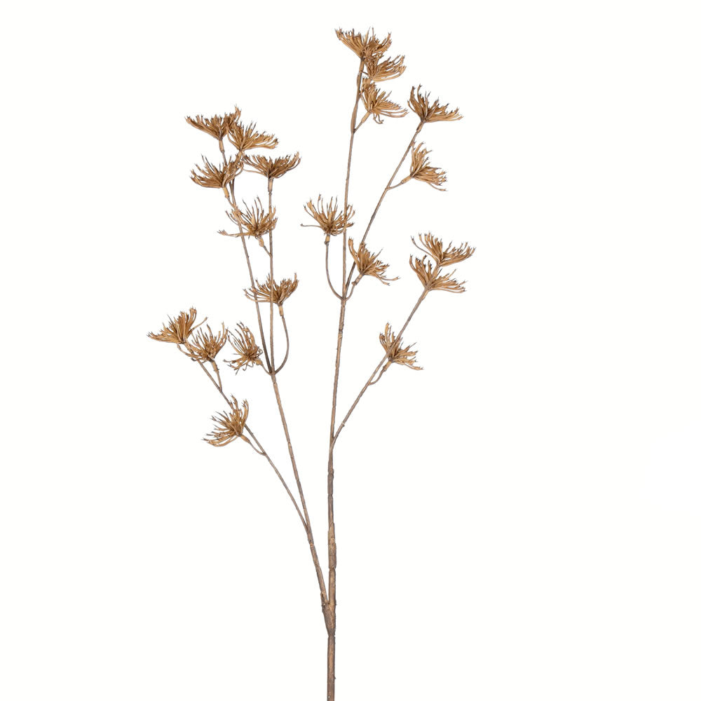 Vickerman 26” Beige Anne Lace Spray 4/Pk - FV195126