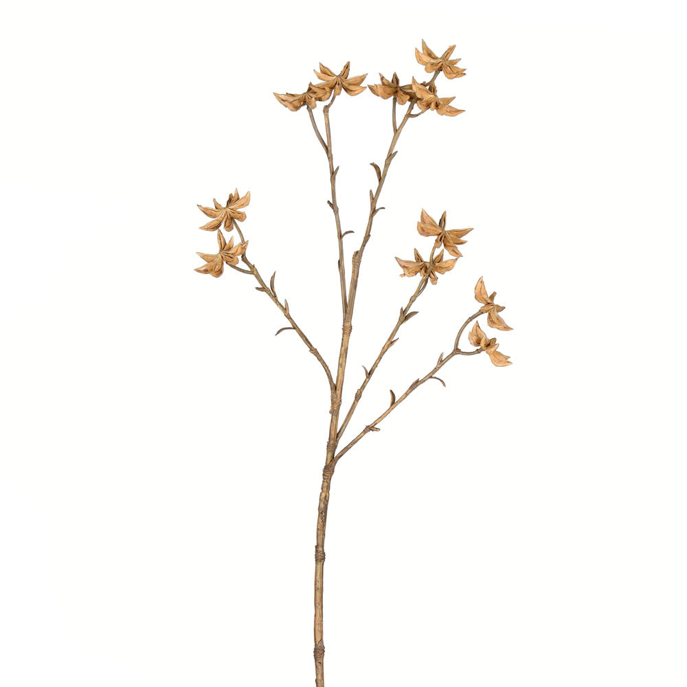 Vickerman 24” Beige Illicum Verum Spray 4/Pk - FV195324