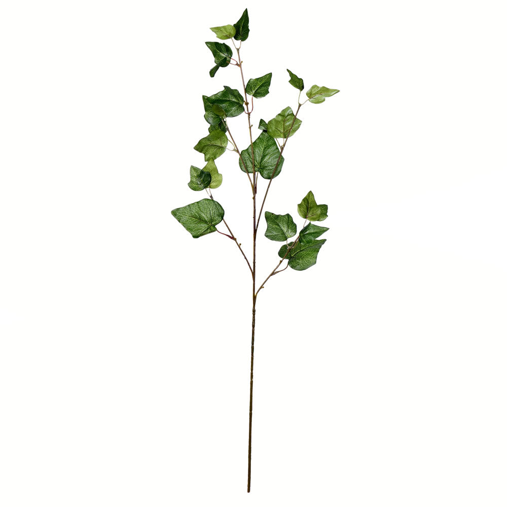 Vickerman 32” Green Ivy Spray 3/Pk - FV195932