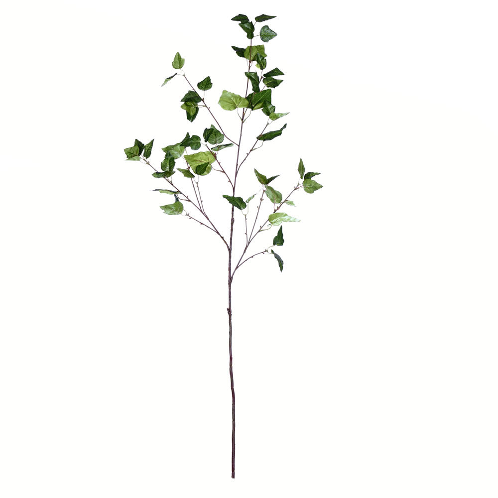 Vickerman 49” Green Ivy Spray 2/Pk - FV196049