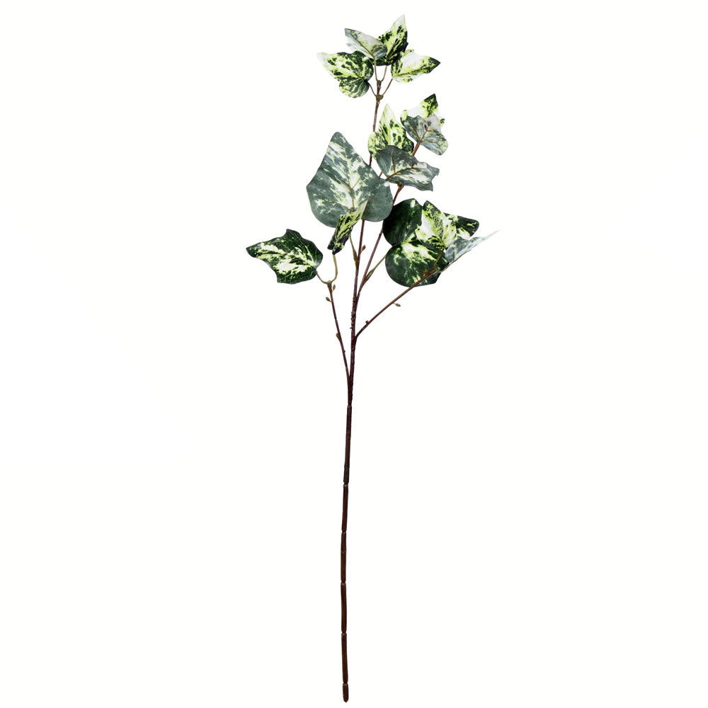 Vickerman 24” Green Variegated Ivy Spray 6/Pk - FV196224