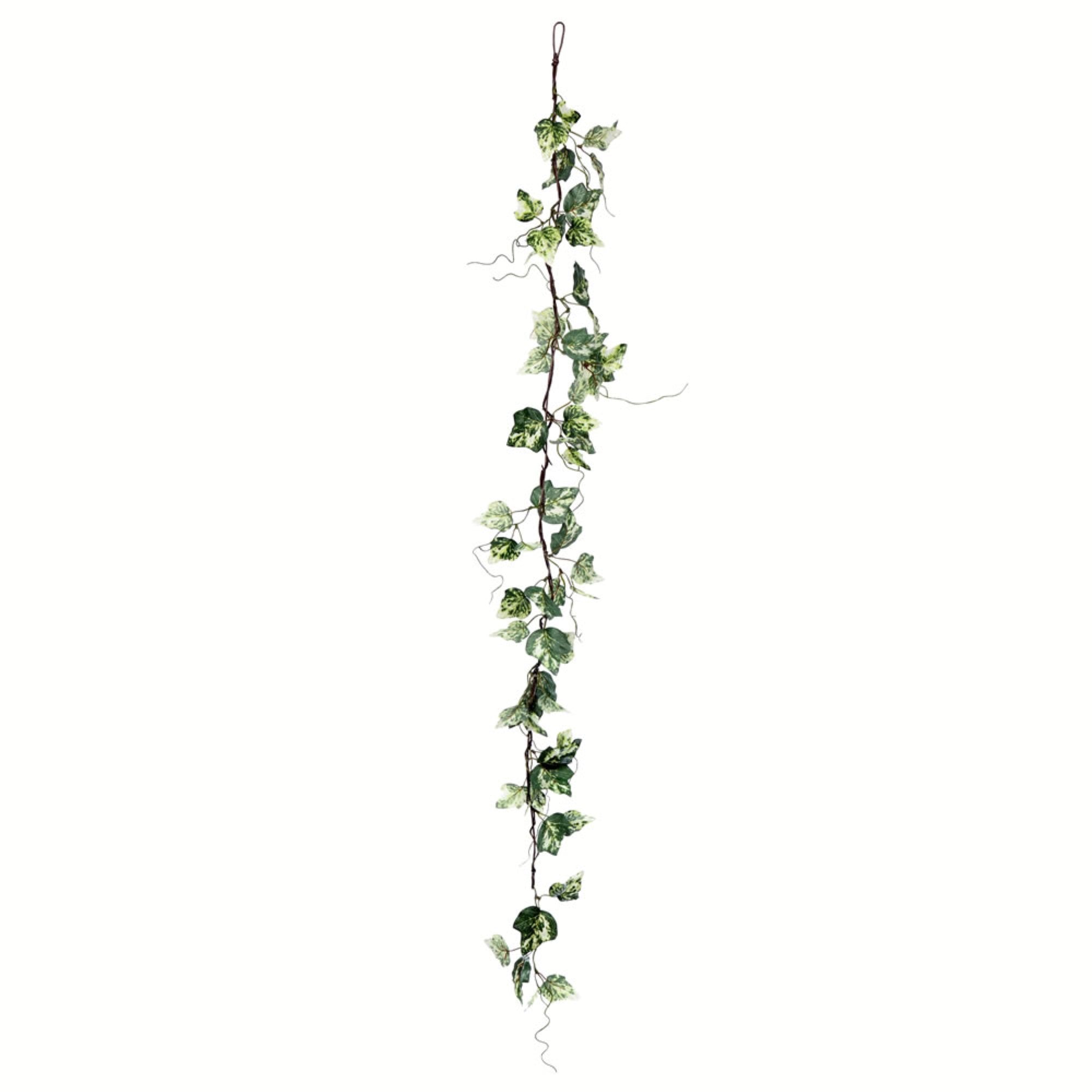 56” Green Variegated Ivy Garland 2/Pk