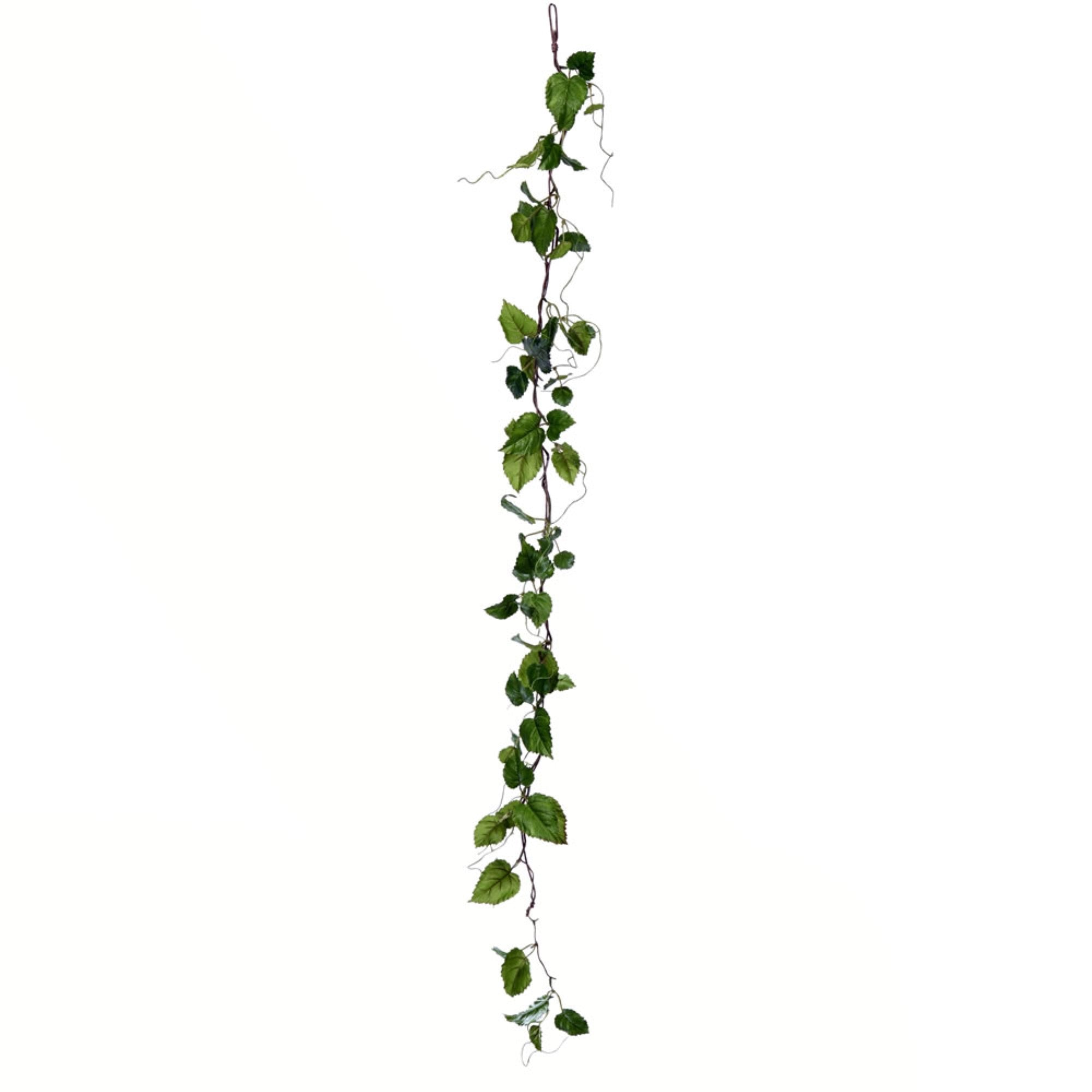 56” Green Hop Leaf Garland 2/Pk
