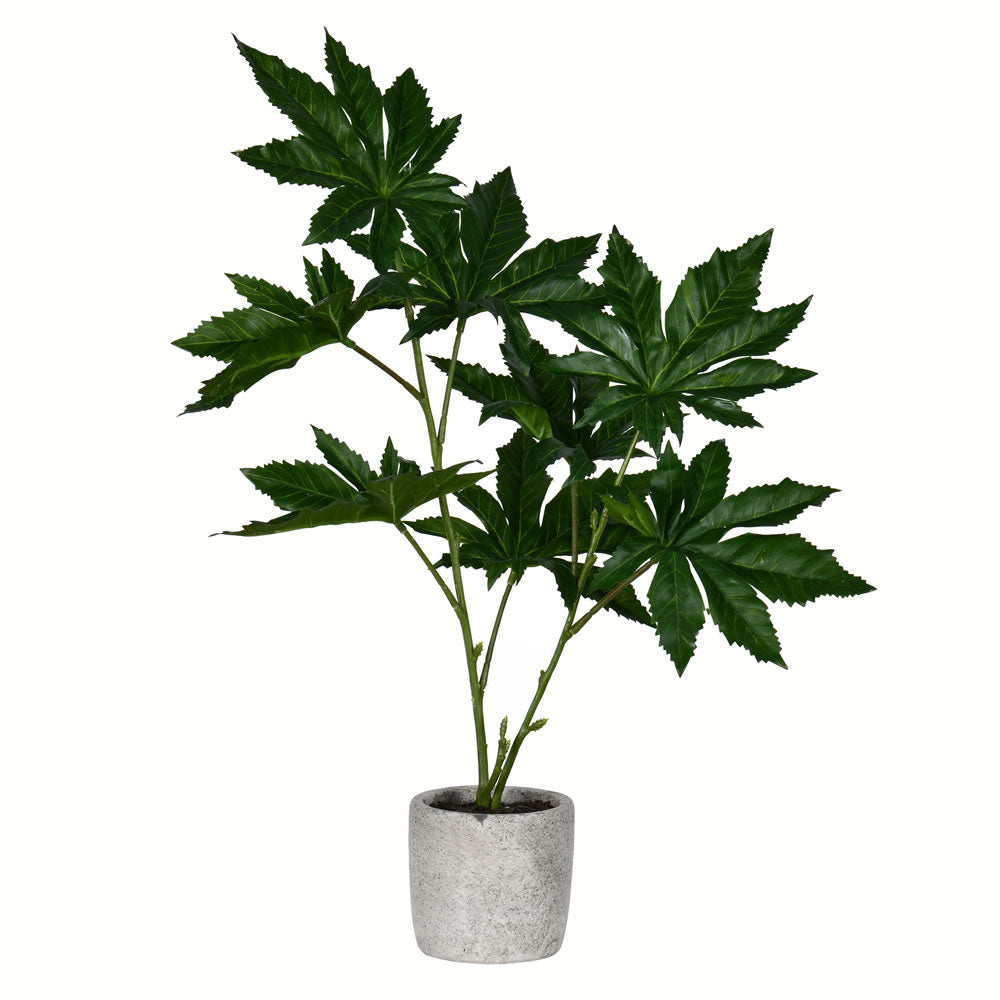 Vickerman 17” Green Potted Papaya - FV197317