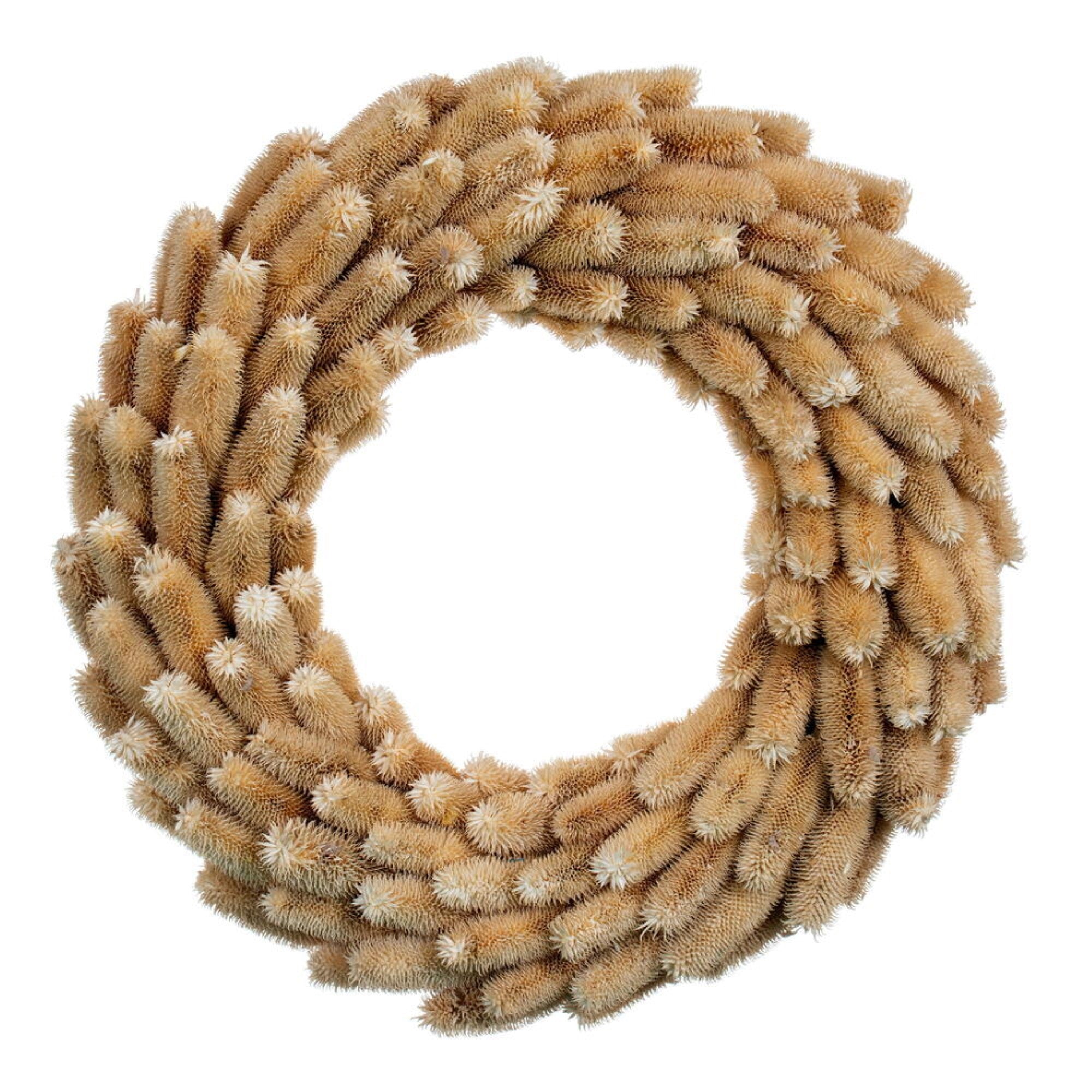 Vickerman 24” Cream Thistle Wreath. Contains dried and preserved natural components