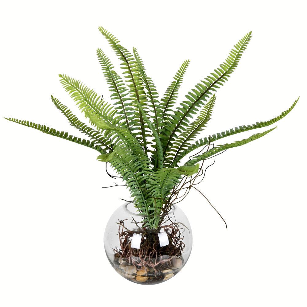 Vickerman 15.5” Green Fern In Glass Pot - FX190115