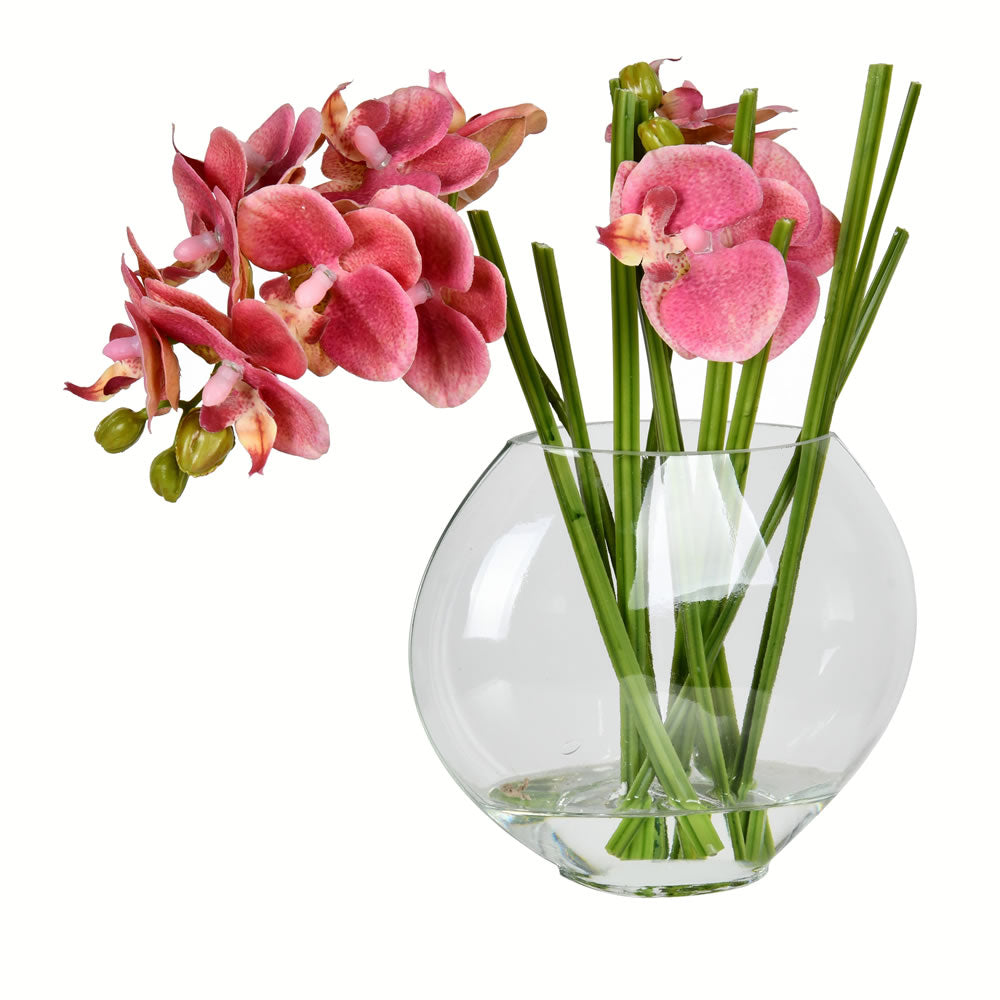 Vickerman 9.8” Pink Orchid In Glass Pot - FX190502