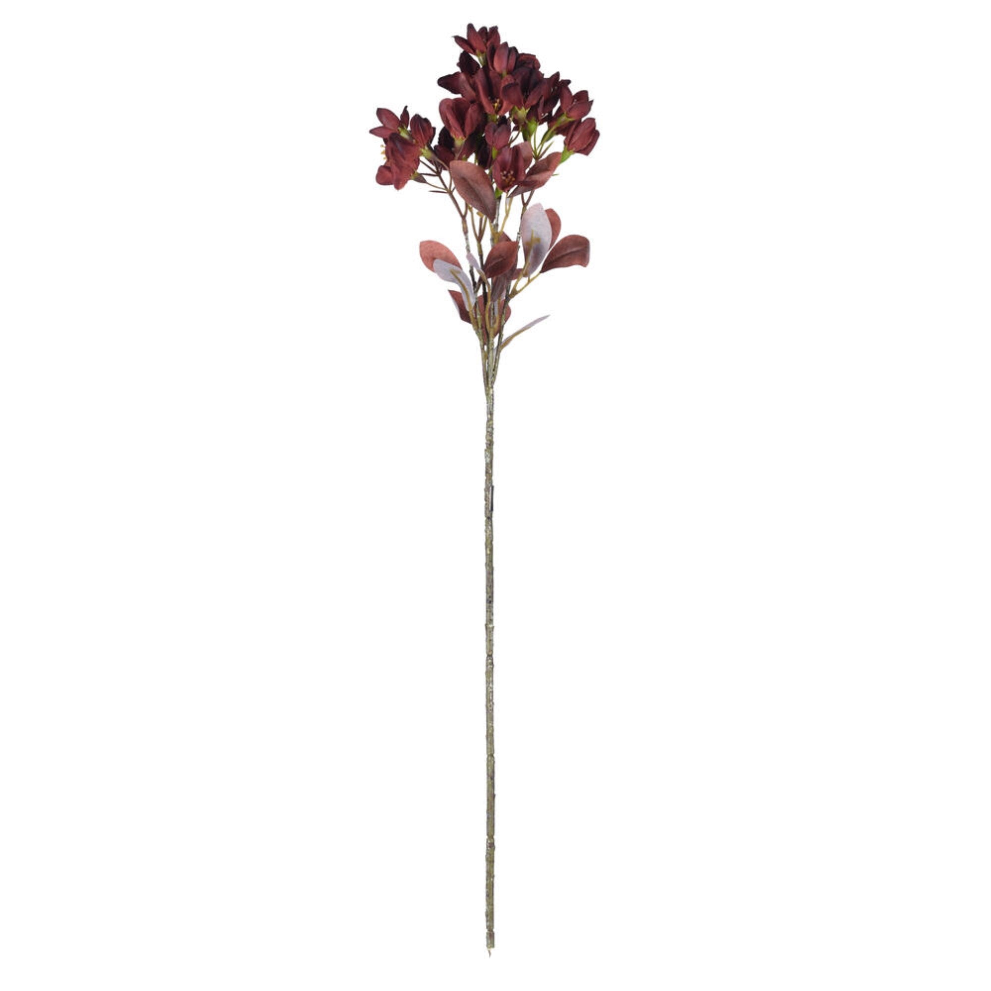 Vickerman 25.5” Burgundy Artificial Primrose Flower Spray 3 per bag.