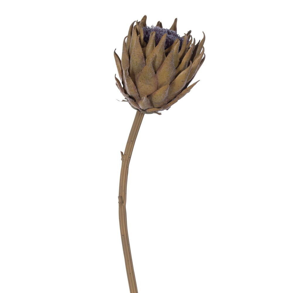 25″ Mustard Protea Stem 2/Bag