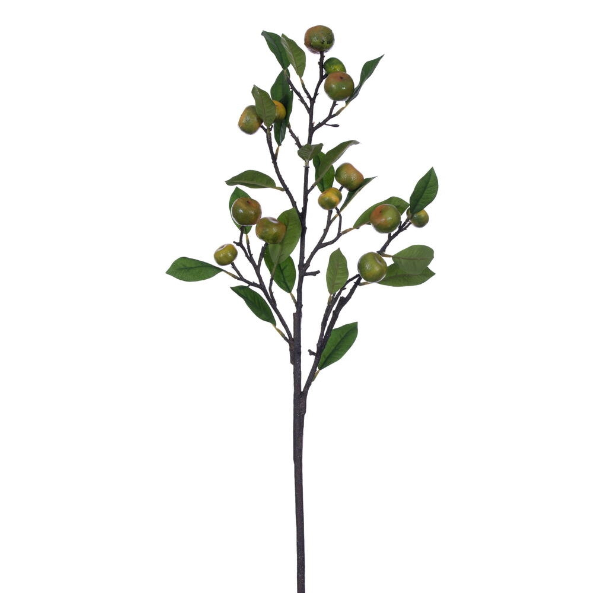 Vickerman 33” Calamondin Calamansi Fruit & Leaf Branch. Add texture to your decorating projects