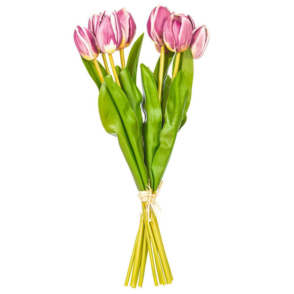 16” Mauve/Cream Tulip Bundle 2/Bag
