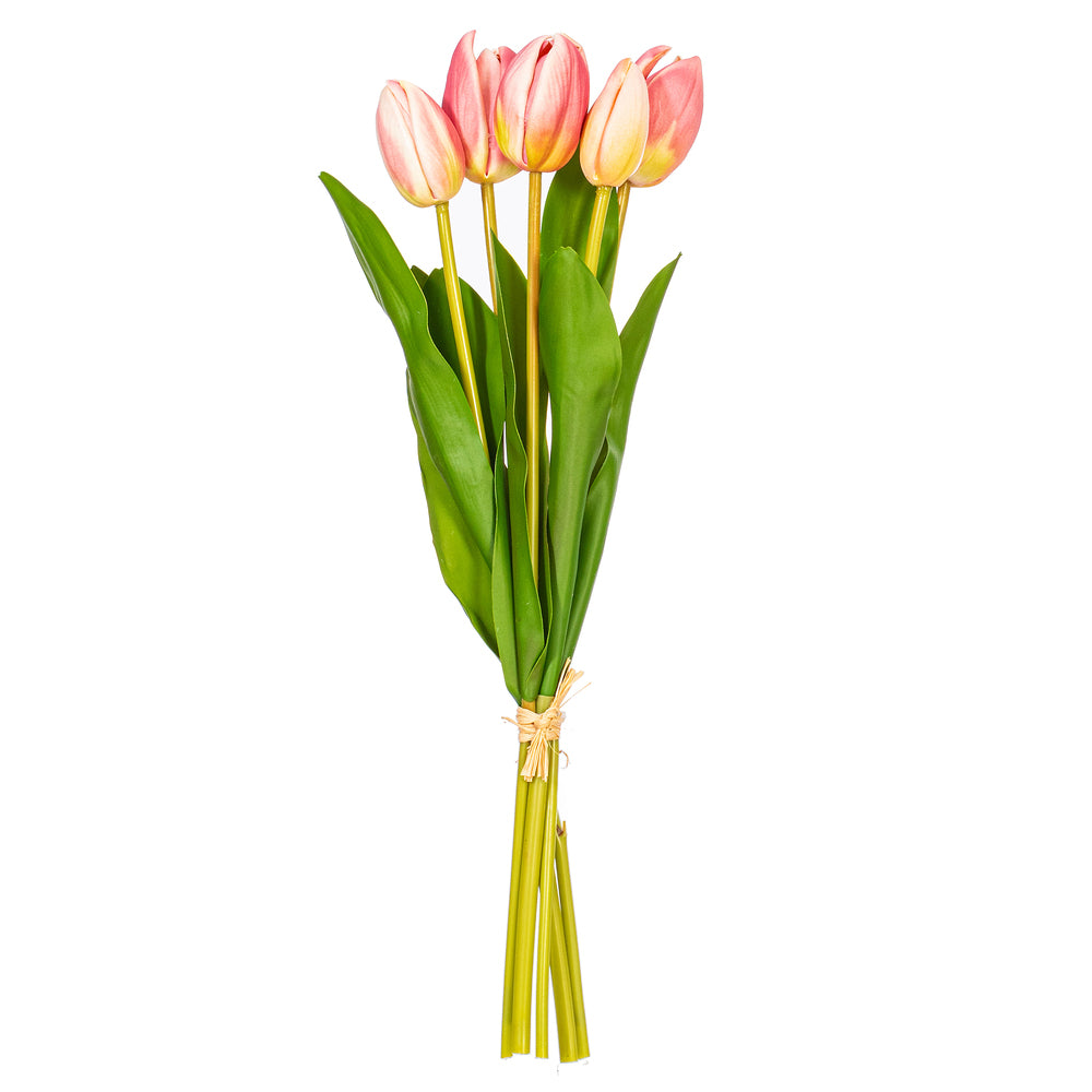 16” Light Pink Tulip Bundle 2/Bag