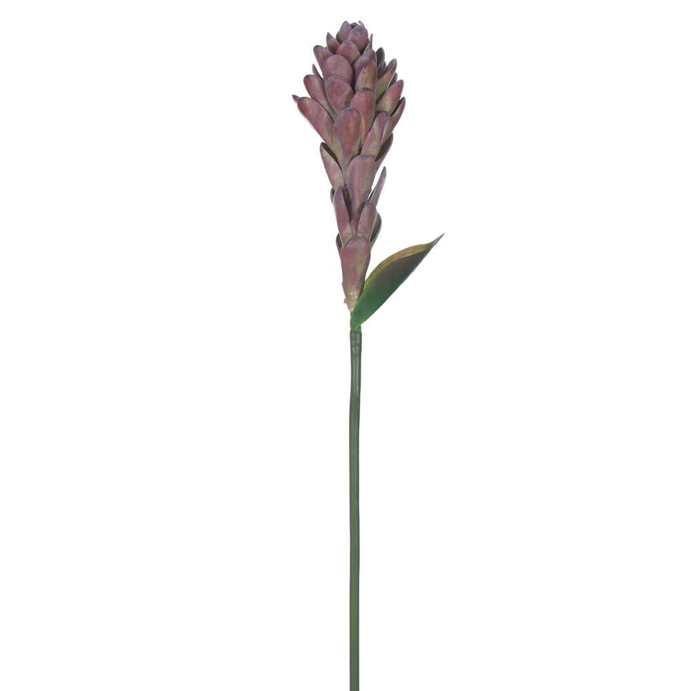 29” Mauve/Green Siam Tulip Spray 2/Bag
