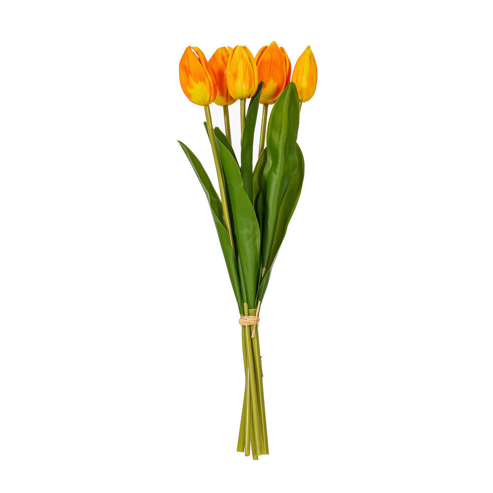 16”H Orange Cream Tulip Bundle of 5 2/Bg