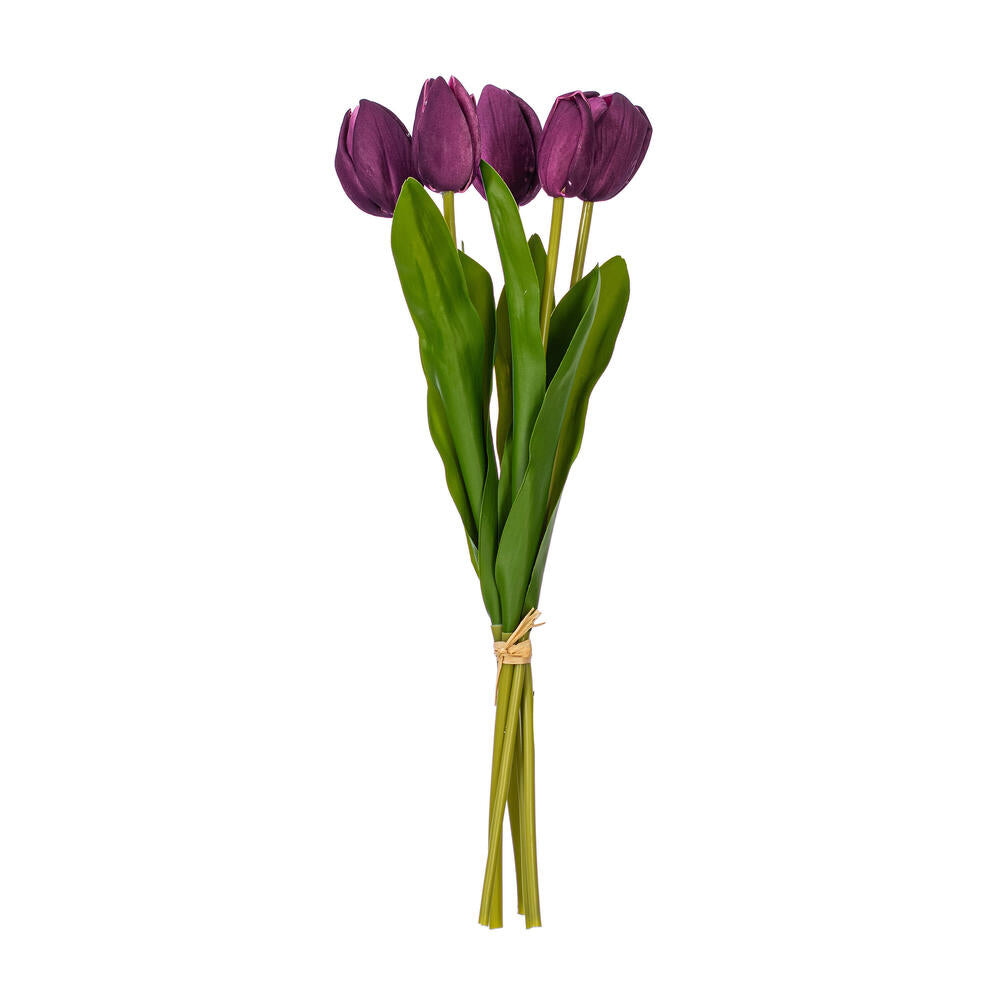 16″H Plum Tulip Bundle of 5 2/Bag
