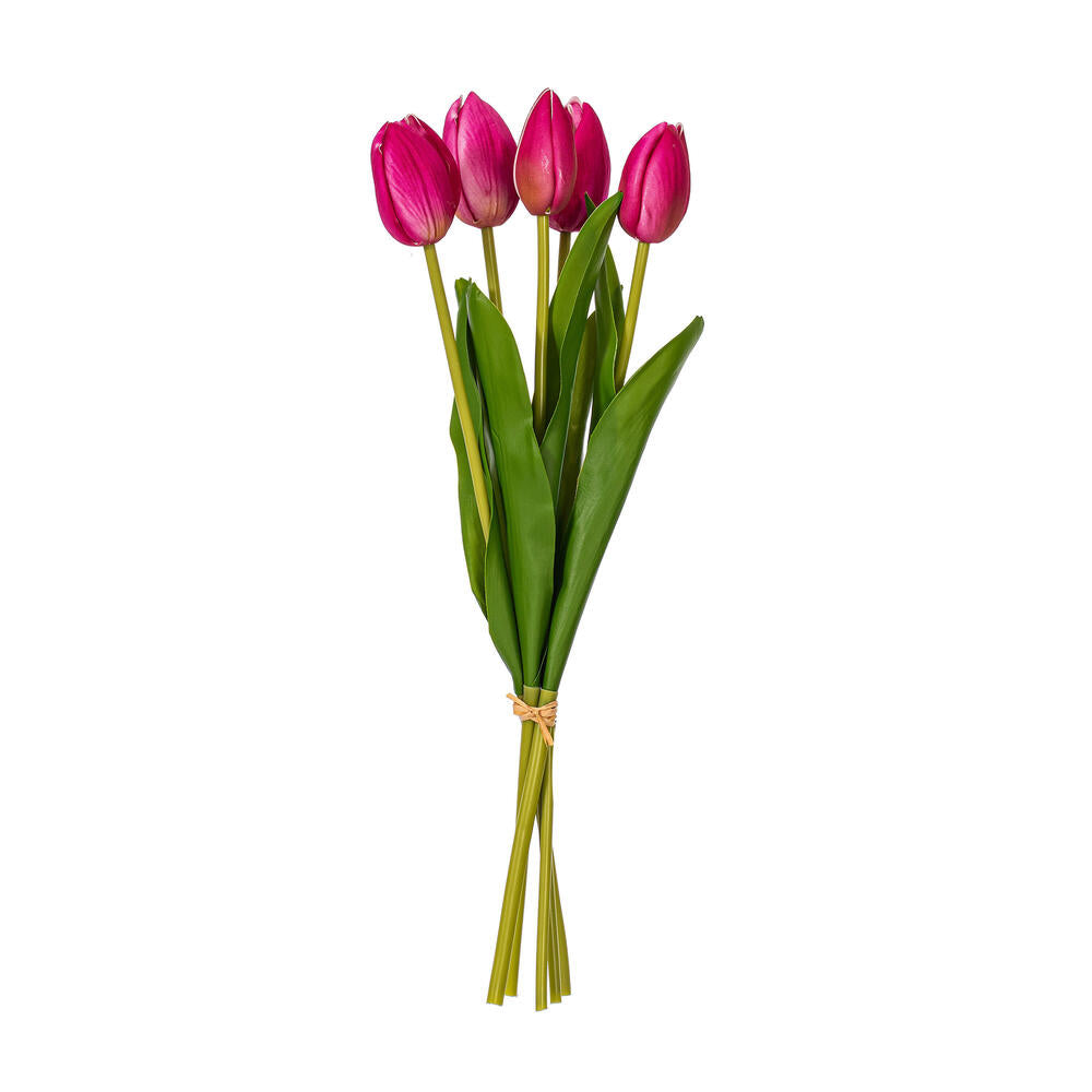 16”H Pink Cream Tulip Bundle of 5 2/Bag