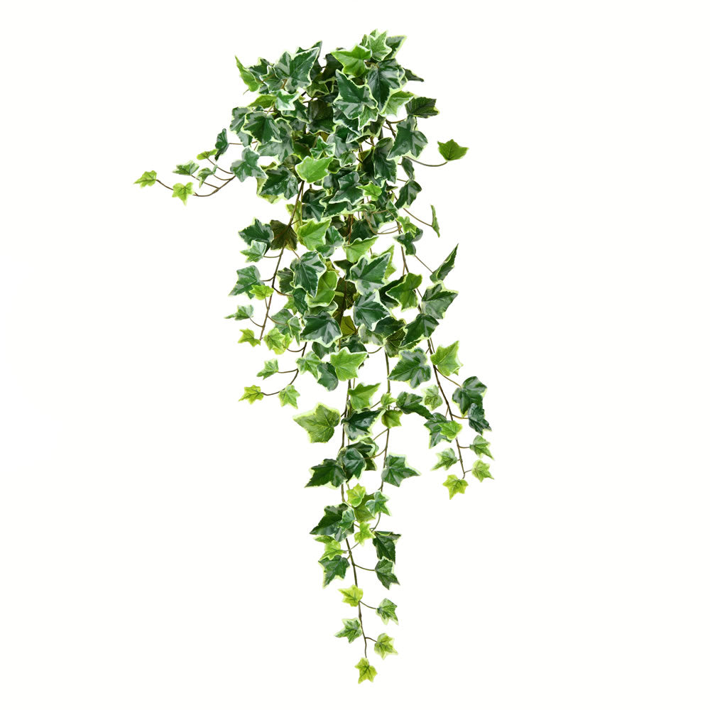 Vickerman 34” Varigated Green Ivy Hanging Bush - FZ190234