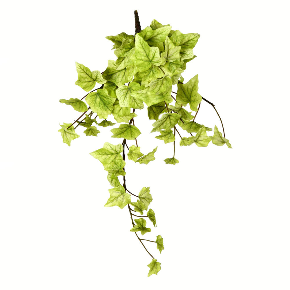 Vickerman 18” Lt Green Ivy Hanging Bush 3/Pk - FZ190318