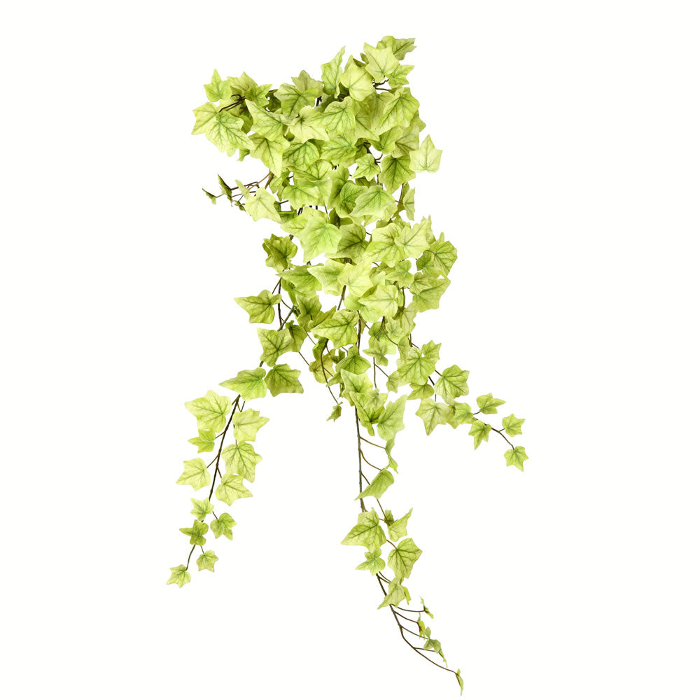 Vickerman 34” Light Green Ivy Hanging Bush - FZ190334