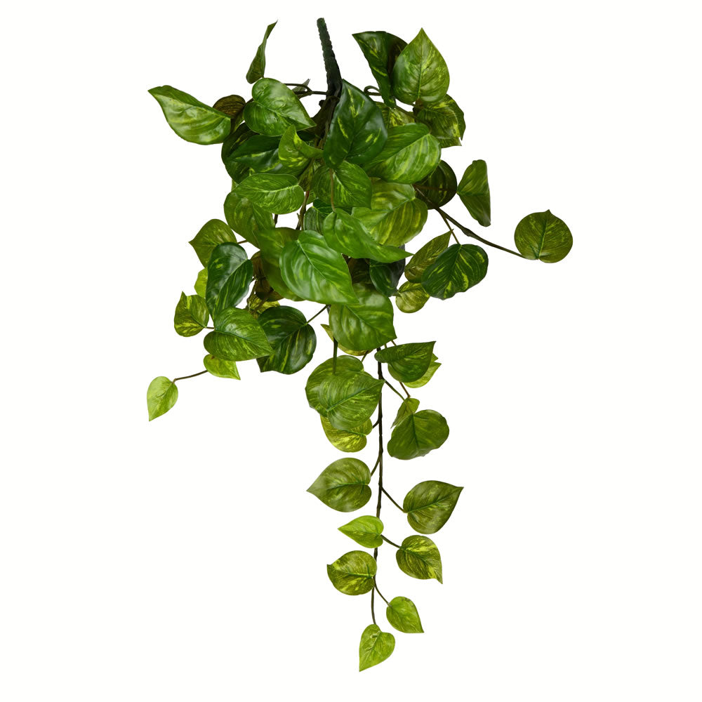 Vickerman 18” Grn Pothos Leaf Hanging Bush 3/Pk - FZ190718
