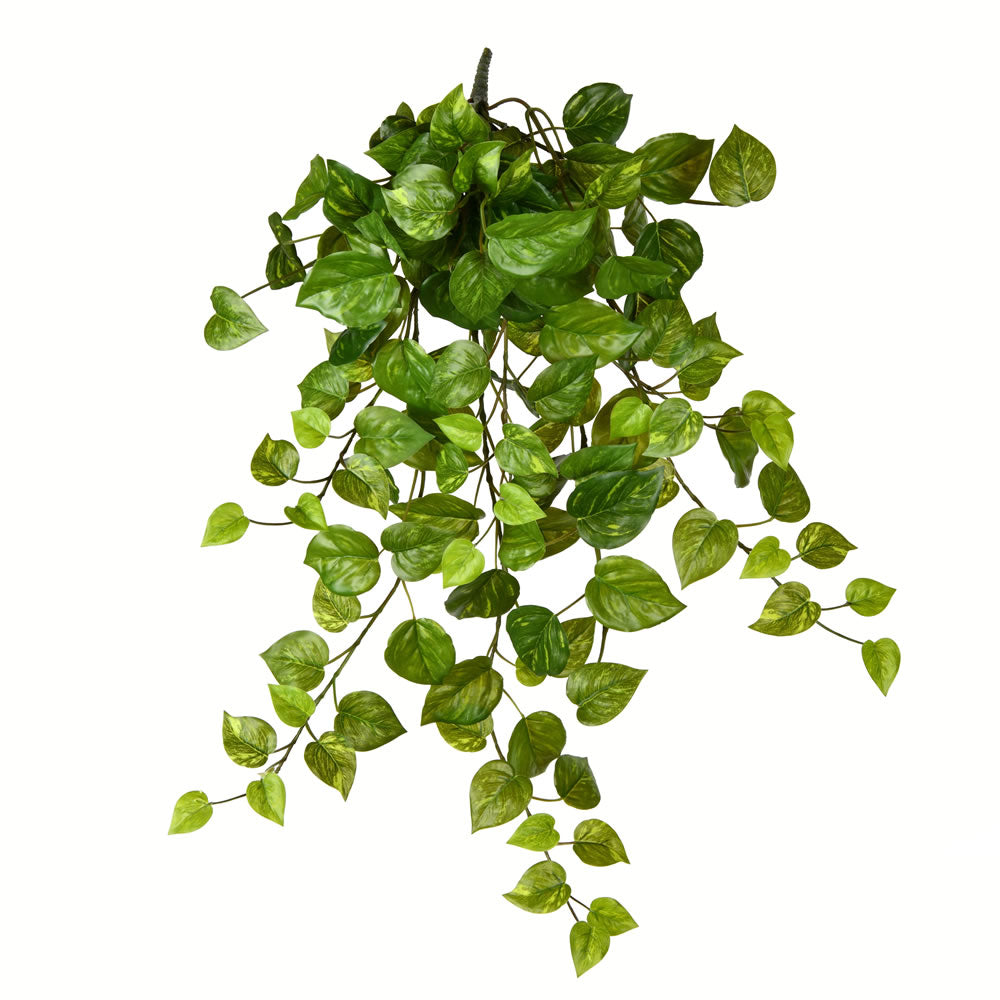 Vickerman 28” Grn Pothos Leaf Hanging Bush 2/Pk - FZ190728