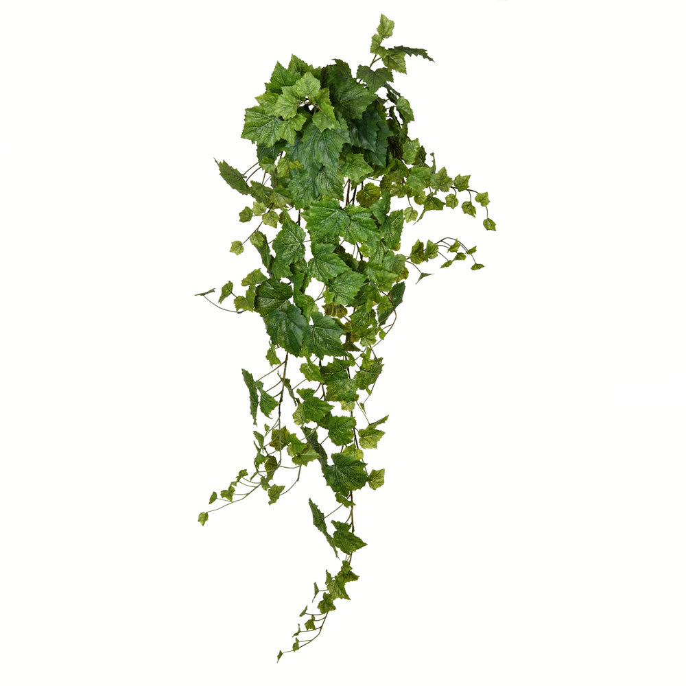Vickerman 51” Green Grape Ivy Hanging Bush - FZ192151