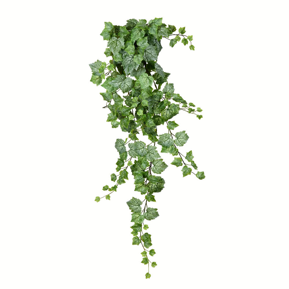 Vickerman 51” Green & White Grape Ivy Hanging Bush - FZ192451
