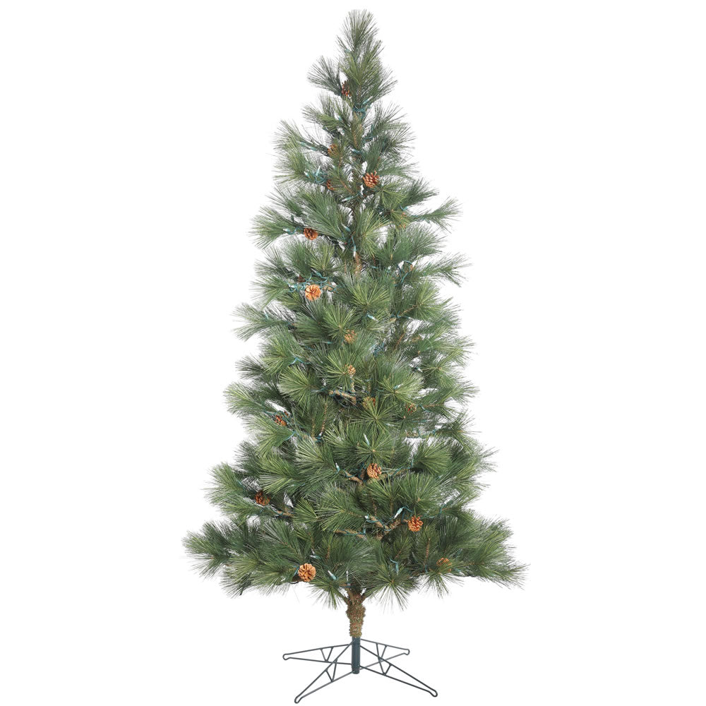 Vickerman 12' x 80” Redmond Spruce Tree 2252Tips - G154590