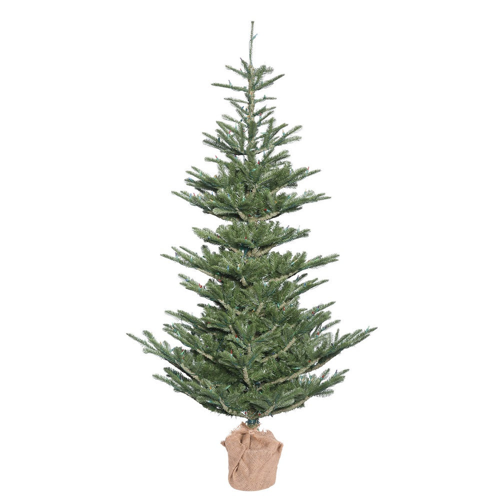 Vickerman 5' x 40″ Alberta Spruce 352T Burlap Base - G160250