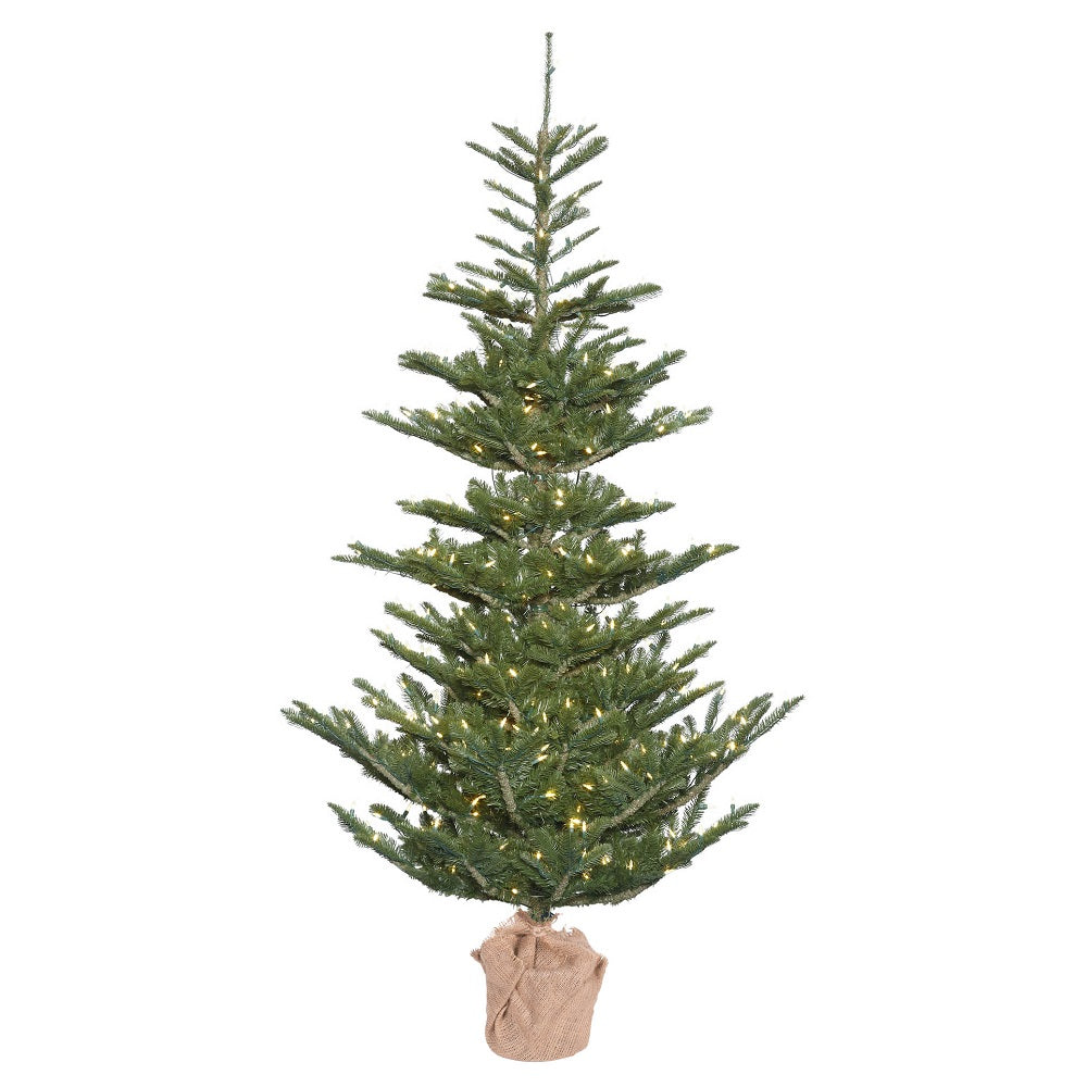 Vickerman 5' x 40″ Alberta Spruce 200LED WmWht - G160251LED