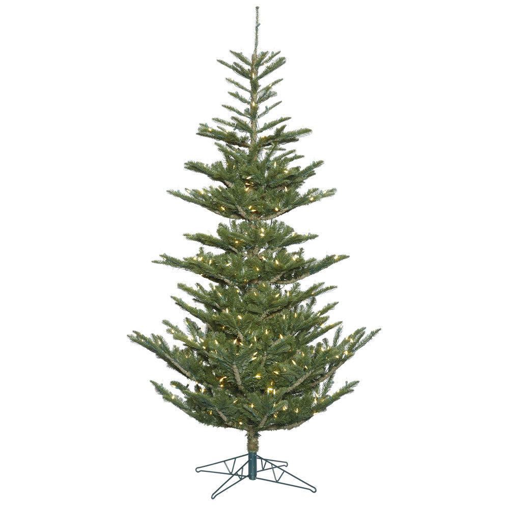 Vickerman 9' x 68″ Alberta Spruce 650LED WmWht - G160281LED