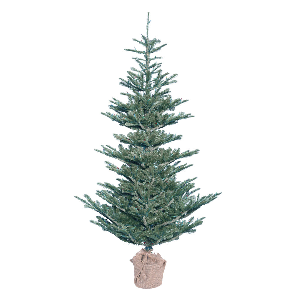 Vickerman 5' x 40″ Alberta Blue Spruce 352T Burlap - G160450
